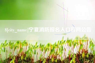 晋城宁夏消防报名入口官网公告