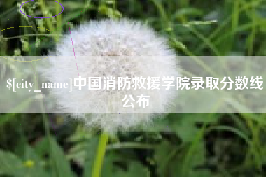 晋城中国消防救援学院录取分数线公布