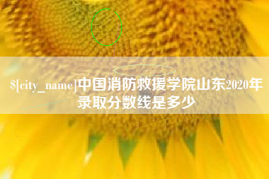 晋城中国消防救援学院山东2020年录取分数线是多少