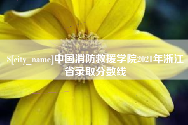晋城中国消防救援学院2021年浙江省录取分数线
