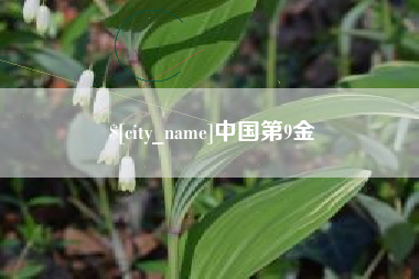 晋城中国第9金