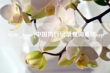 晋城中国执行记录查询系统app