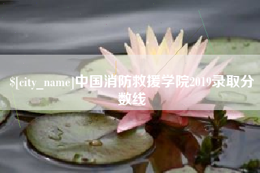 晋城中国消防救援学院2019录取分数线
