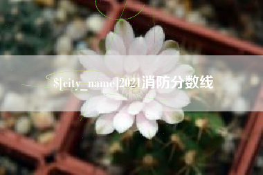 晋城2021消防分数线