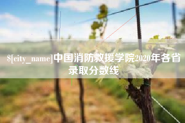 晋城中国消防救援学院2020年各省录取分数线