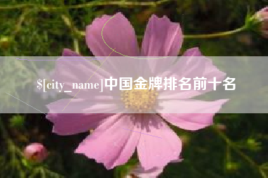 晋城中国金牌排名前十名