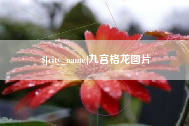 晋城九宫格龙图片