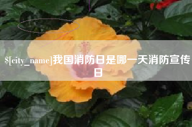 晋城我国消防日是哪一天消防宣传日