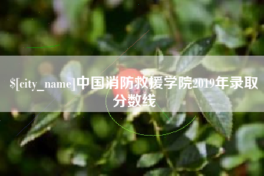 晋城中国消防救援学院2019年录取分数线