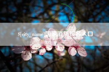 晋城国家消防报名入口
