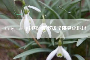 晋城中国消防救援学院具体地址