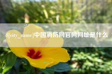 晋城中国消防网官网网址是什么