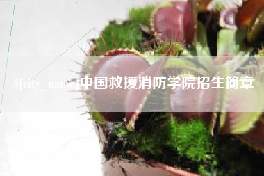晋城中国救援消防学院招生简章