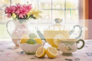 晋城中国消防救援学院分数2020