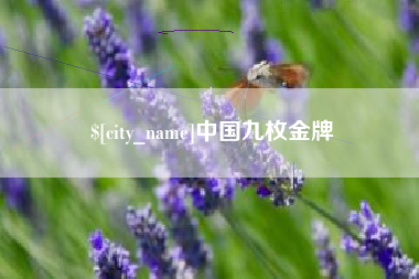晋城中国九枚金牌