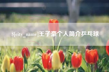 晋城王子豪个人简介乒乓球