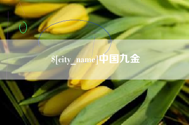 晋城中国九金