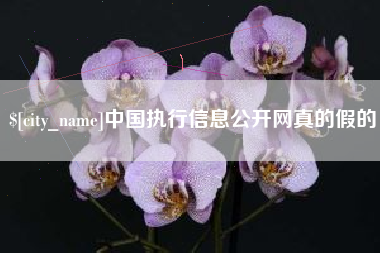 晋城中国执行信息公开网真的假的