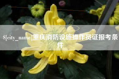 晋城重庆消防设施操作员证报考条件