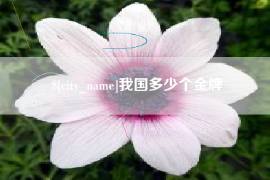 晋城我国多少个金牌