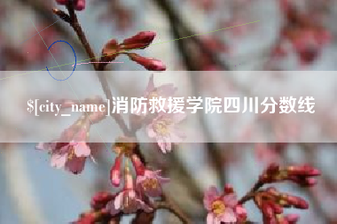 晋城消防救援学院四川分数线