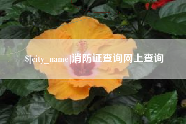 晋城消防证查询网上查询