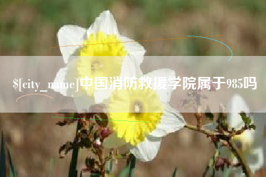 晋城中国消防救援学院属于985吗