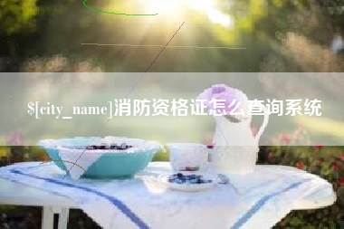 晋城消防资格证怎么查询系统