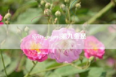 晋城第九金是