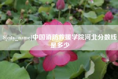 晋城中国消防救援学院河北分数线是多少