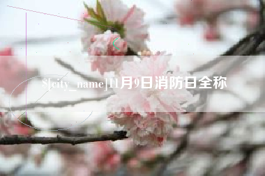 晋城11月9日消防日全称