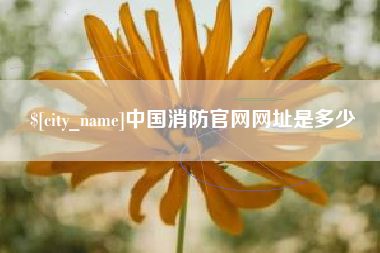 晋城中国消防官网网址是多少