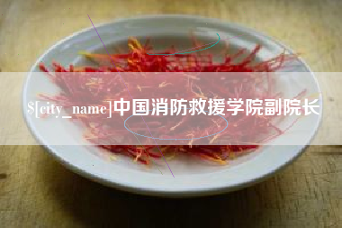 晋城中国消防救援学院副院长