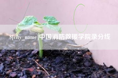 晋城中国消防救援学院录分线