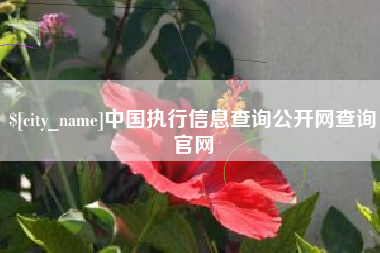 晋城中国执行信息查询公开网查询官网