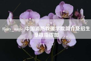 晋城中国消防救援学院简介及招生章程指挥部