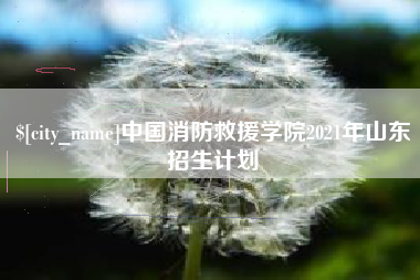 晋城中国消防救援学院2021年山东招生计划