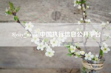 晋城中国执行信息公开平台