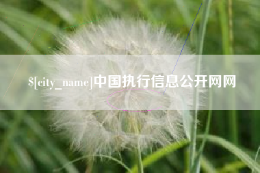 晋城中国执行信息公开网网