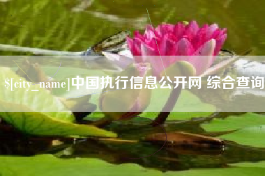晋城中国执行信息公开网 综合查询