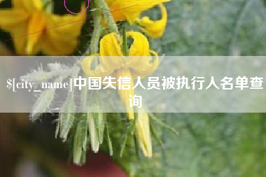 晋城中国失信人员被执行人名单查询