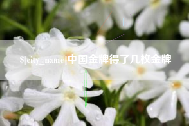 晋城中国金牌得了几枚金牌