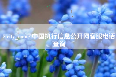 晋城中国执行信息公开网客服电话查询