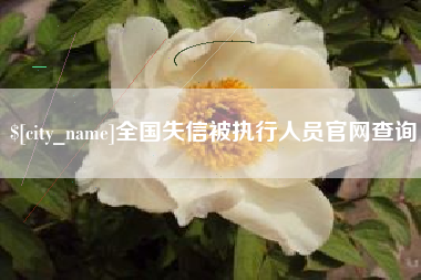 晋城全国失信被执行人员官网查询