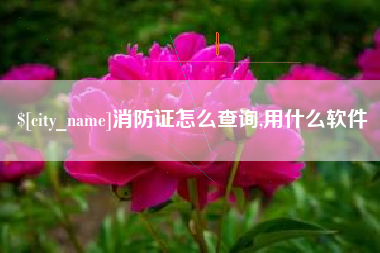晋城消防证怎么查询,用什么软件