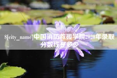 晋城中国消防救援学院2020年录取分数线是多少