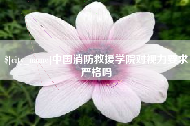 晋城中国消防救援学院对视力要求严格吗