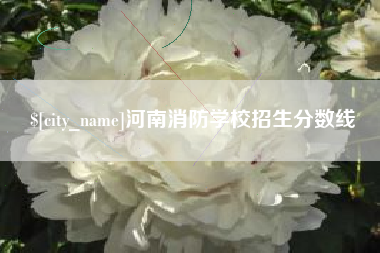 晋城河南消防学校招生分数线