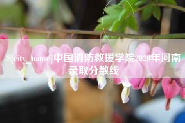 晋城中国消防救援学院2020年河南录取分数线