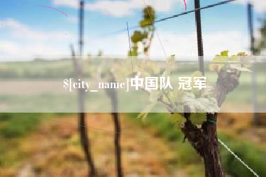 晋城中国队 冠军